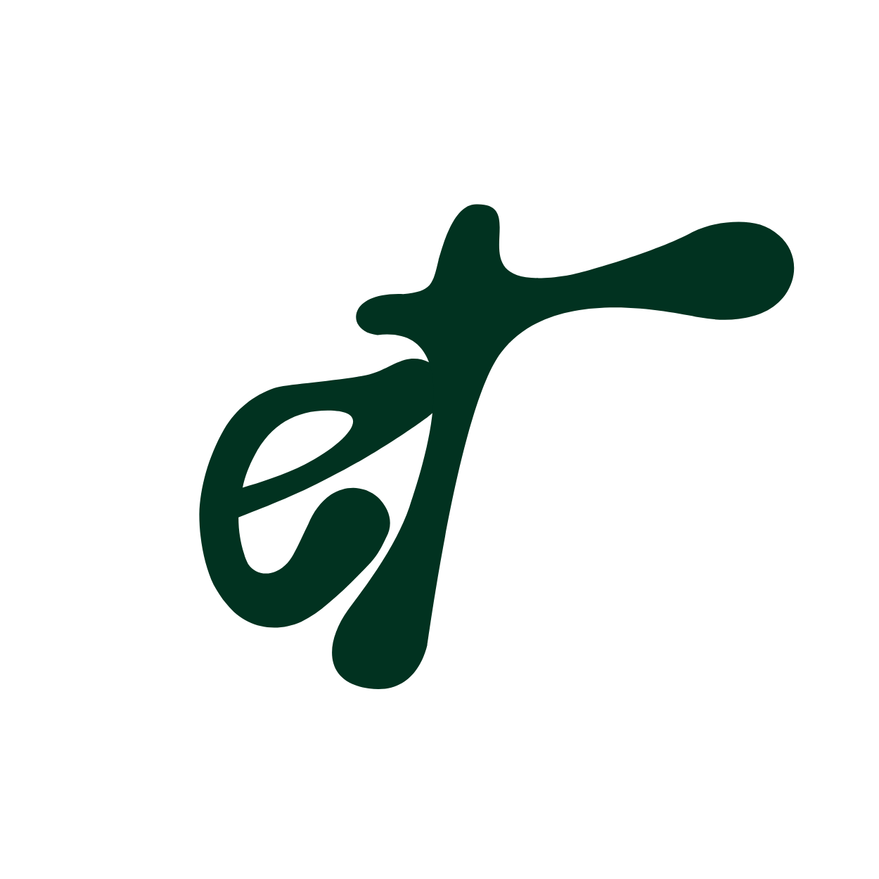 Shop Eco Tribe